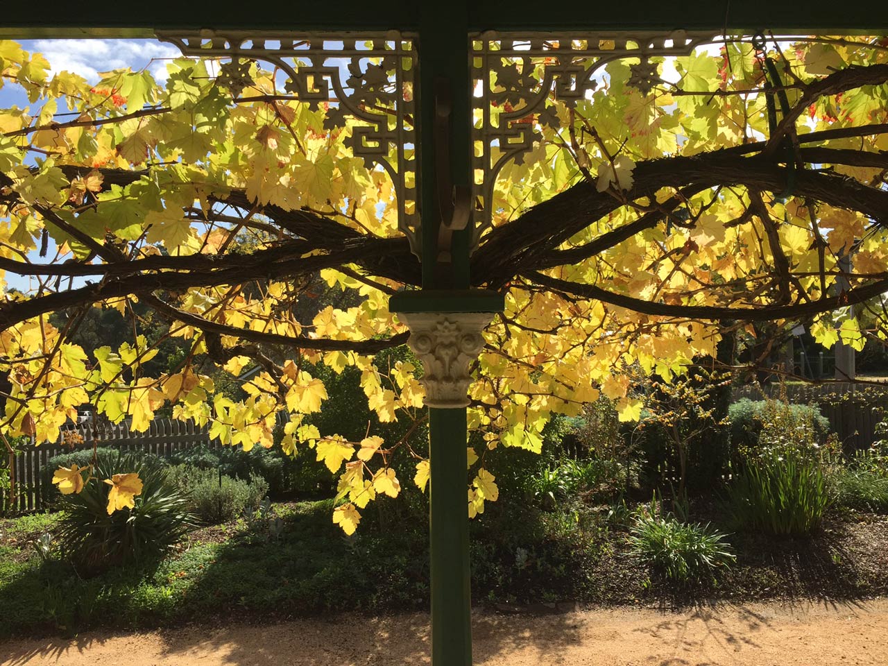 Buda Castlemaine About Us