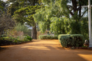 New Buda paths