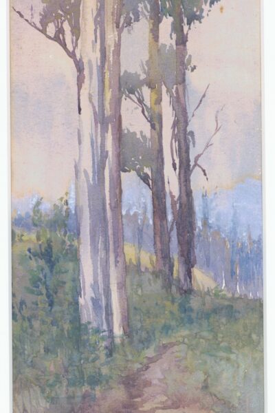 Gum Trees (c1910) Watercolour by Elsie (Hake) Barlow