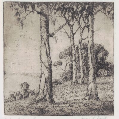 Landscape with Gum Trees 1925-30 Etching by Jorgen A. Frank