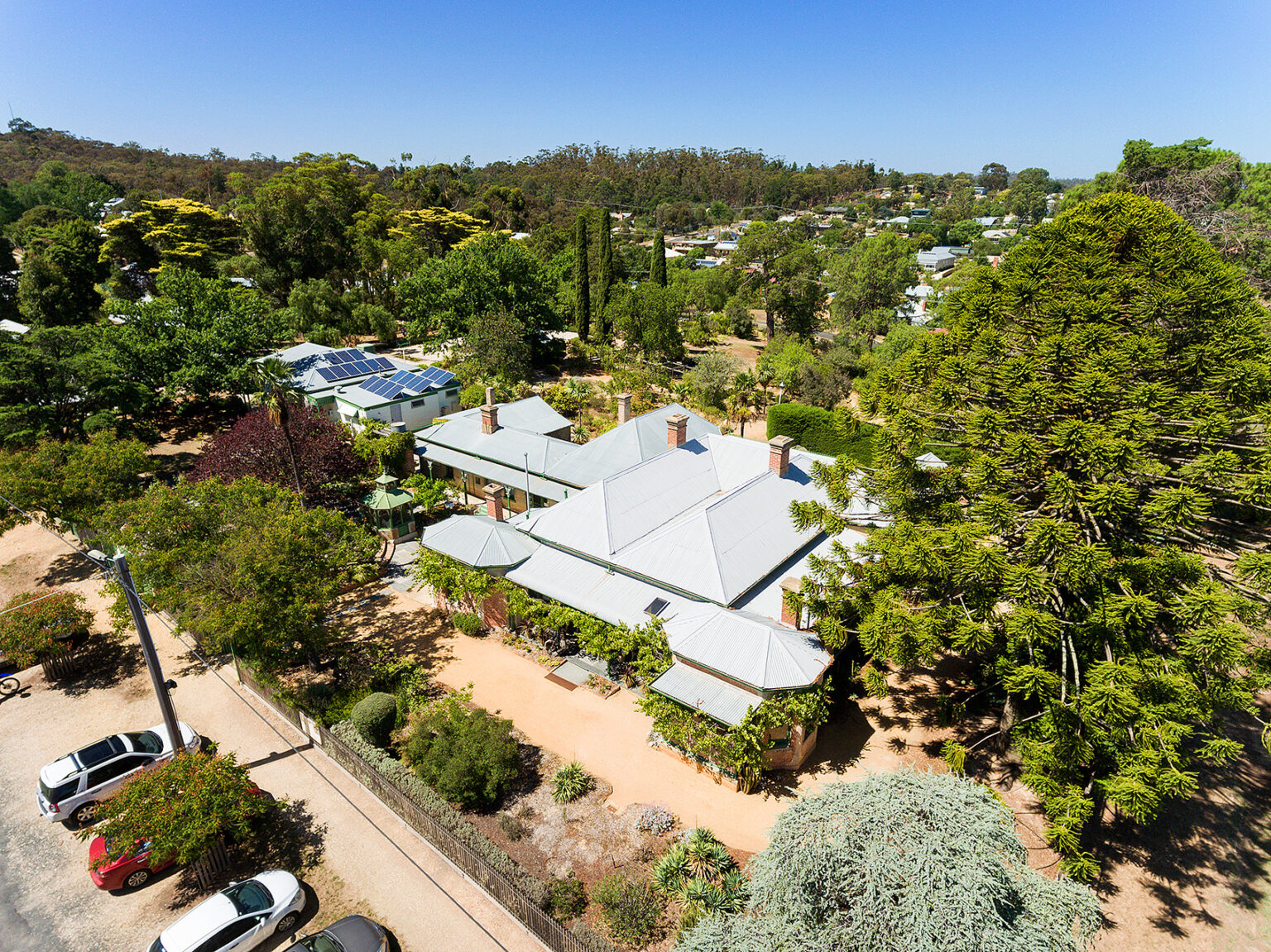 Buda Castlemaine Buda Trees